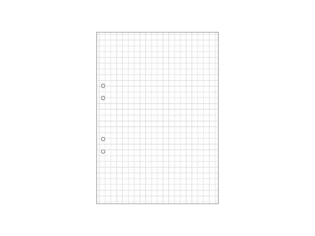 Lösblad A4 rutat 10x10mm hålat 500/fp - Primmeshiper