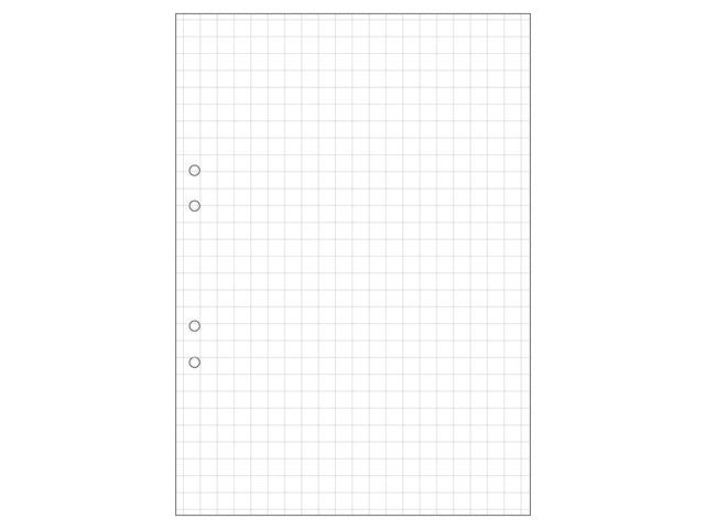 Lösblad A4 rutat 10x10mm hålat 500/fp - Primmeshiper