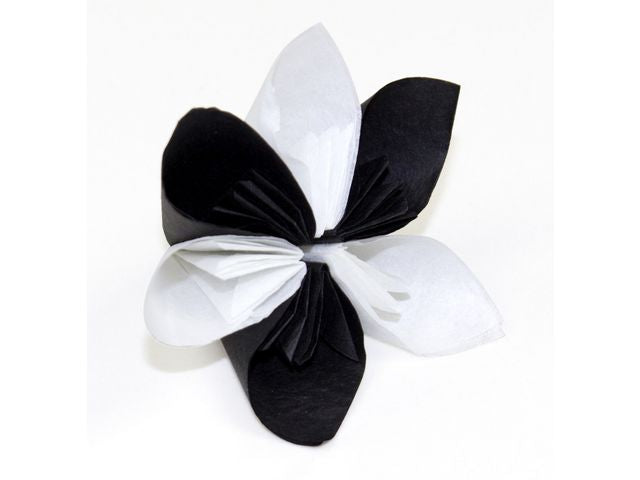 Silkespapper 50x70cm storsats 250 ark/fp - Primmeshiper