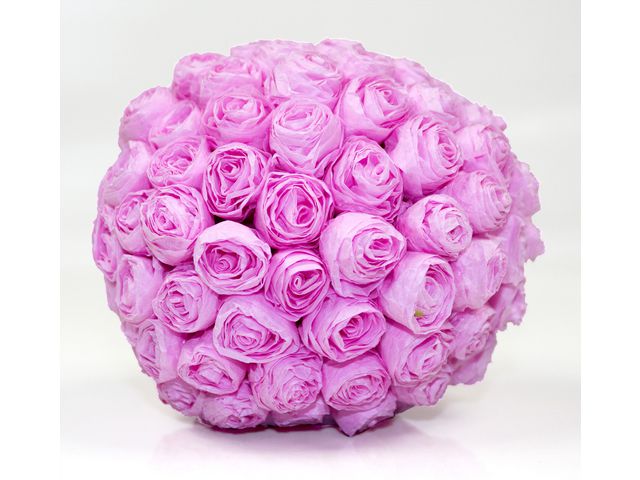 Silkespapper 50x70cm storsats 250 ark/fp - Primmeshiper