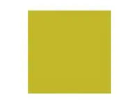 Servett DUNI 1-lags 33x33cm Kiwi 500/fp - Primmeshiper