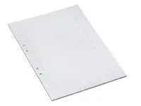 Lösblad A4 rutat 5x5mm hålat 500/fp - Primmeshiper