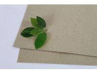 Växtpresspapper 400x470mm 180g 250/fp - Primmeshiper