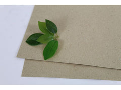 Växtpresspapper 400x470mm 180g 250/fp - Primmeshiper