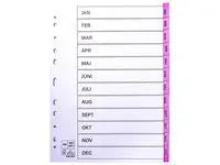 Register plastflik jan-dec rosa 10/fp - Primmeshiper