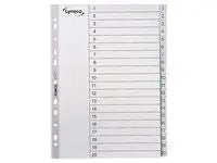 Plastregister LYRECO A4 PP 1-20 grå - Primmeshiper
