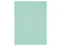 Mapp LYRECO A4 1-klaff 250g grön 100/fp - Primmeshiper