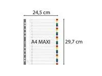 Plastregister EXACOMPTA PP A4+ 1-31 f.f - Primmeshiper