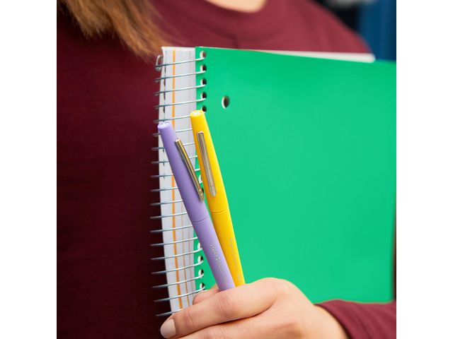 Märkpenna PAPERMATE Flair pastell 12/fp Primmeshiper