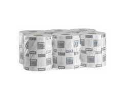 Toalettpapper Plus Gigant S 160m 12/fp - Primmeshiper