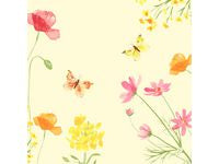 Servetter Poppy D-soft 40X40cm 60/fp - Primmeshiper