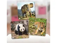 Djurpussel 3/fp - Primmeshiper