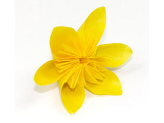 Silkespapper 50x70cm storsats 250 ark/fp - Primmeshiper