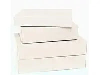 Arkivkartong A4 80mm vit 100/fp Primmeshiper