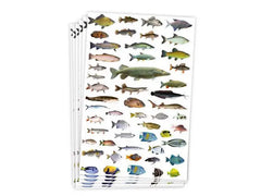 Djurstickers 300/fp - Primmeshiper